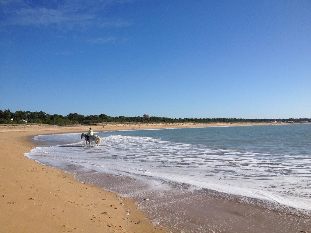 Appartement 43 M2 Front De Mer 3 Cles Vacances La Tranche-sur-Mer Bilik gambar